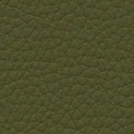 Skai Toronto EN - Kaktus (F6471081)