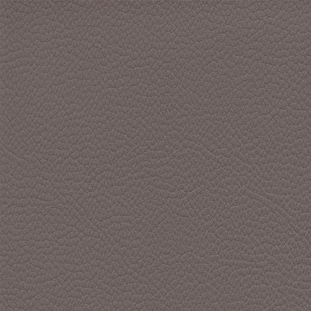 Classique - Carob