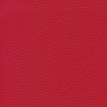 Skai Toronto EN - Kirsche (F6471008)