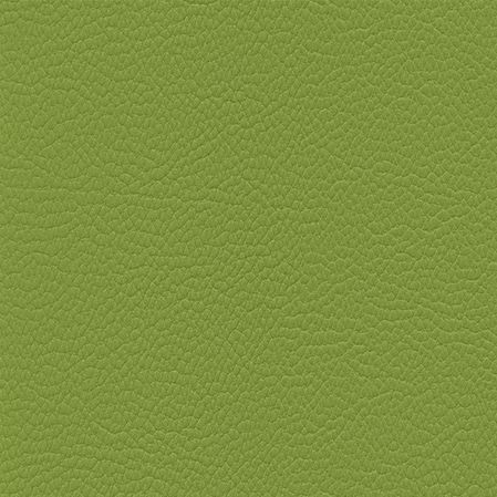 Skai Toronto EN - Olive (F6471014) 