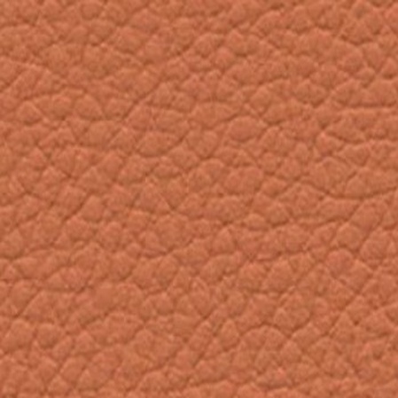 Skai Toronto EN - Orange Rust (F6471075)