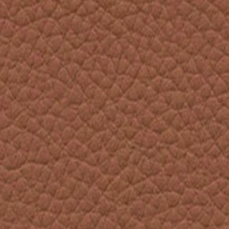 Skai Toronto EN - Terra (F6471073)