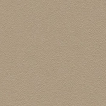 Skai Tovega EN - Birch