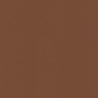 Skai Tovega EN - Chestnut