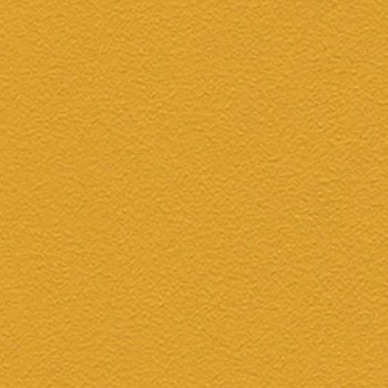 Skai Tovega EN - Corn