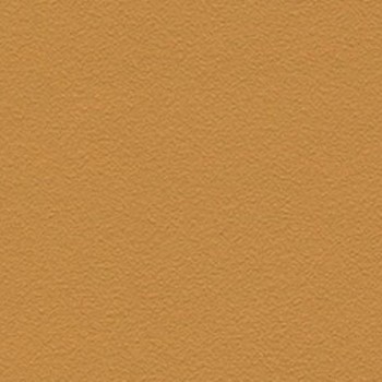 Skai Tovega EN - golden yellow