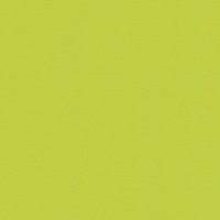 Skai Tovega EN - Lime