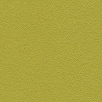 Skai Tovega EN - Lime