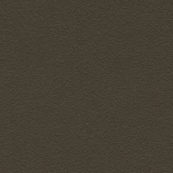 Skai Tovega EN - Mocca