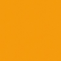 Skai Tovega EN - Orange
