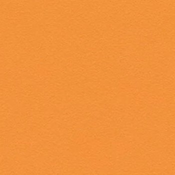 Skai Tovega EN - Orange