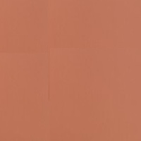 Skai Tovega EN - Orange Rust