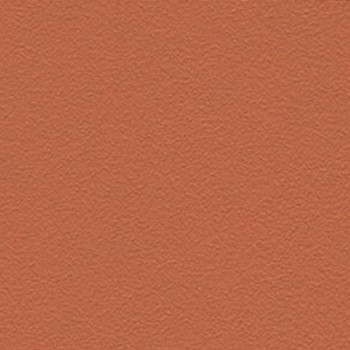 Skai Tovega EN - Orange Rust