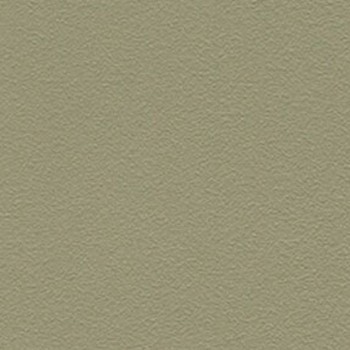 Skai Tovega EN - Organic green