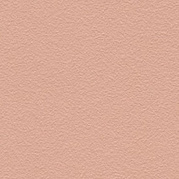 Skai Tovega EN - Rose