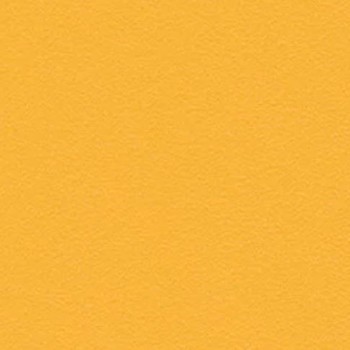 Skai Tovega EN - Sun