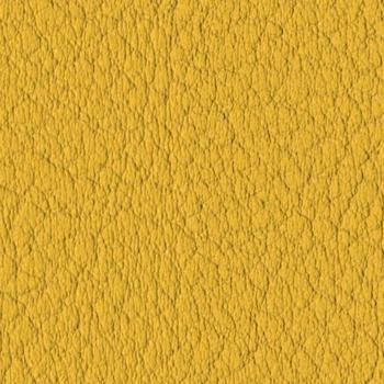 Spradling Valencia - Squash (107-2111)