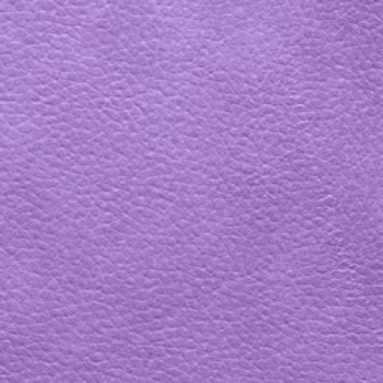 Giotto - Violett (Q)