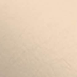 ATN Master Plus - Aprikose