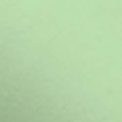 ATN Master Plus - Pistazie