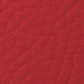 Rot
