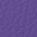 Blauviolett