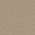 Lehmbeige