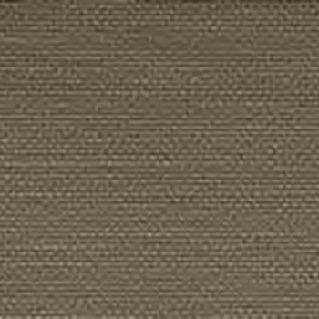 Silvertex Salbei