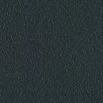 Stamskin Top Schwarz