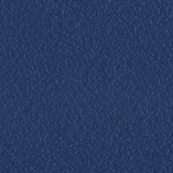 Stamskin Top Tinte