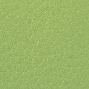 Kunstleder Luxor Mint