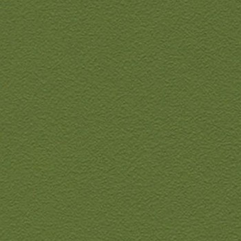 Skai Tovega EN Olive Green