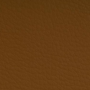 Dolce Camel