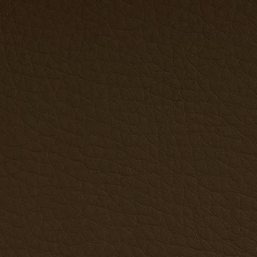 Dolce Mocha