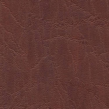 Skai Plata Niger