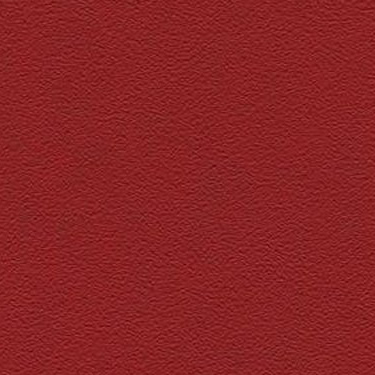 Stamskin Top Carrmin