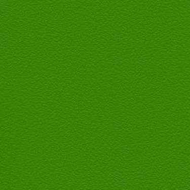Stamskin Top Grasgrün