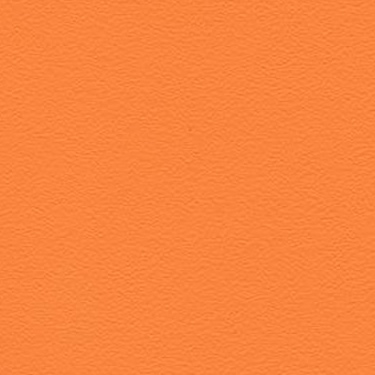Stamskin Top Lachs