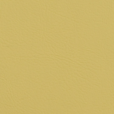 Valencia Citrus